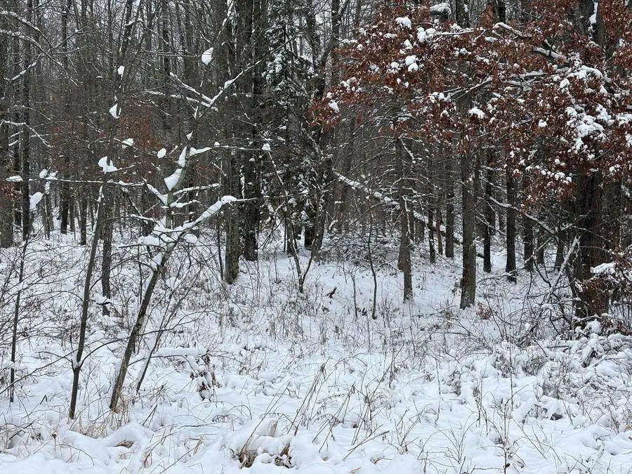 W13470 EAGLE RIVER ROAD, Silver Cliff, WI 54104 - #3