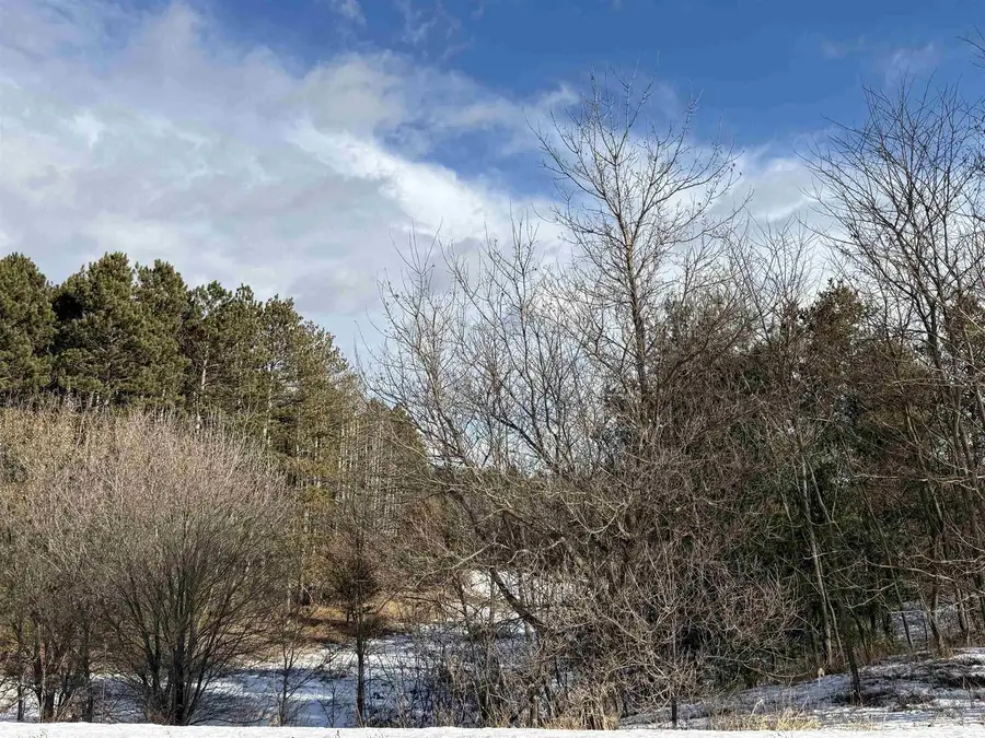 SETTLEMENT ROAD, Gillett, WI 54124 - Image #3