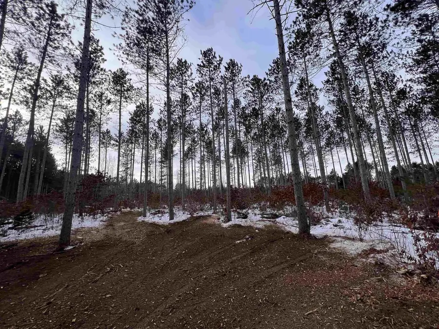 COUNTY X ROAD, Crivitz, WI 54114 - Image #3