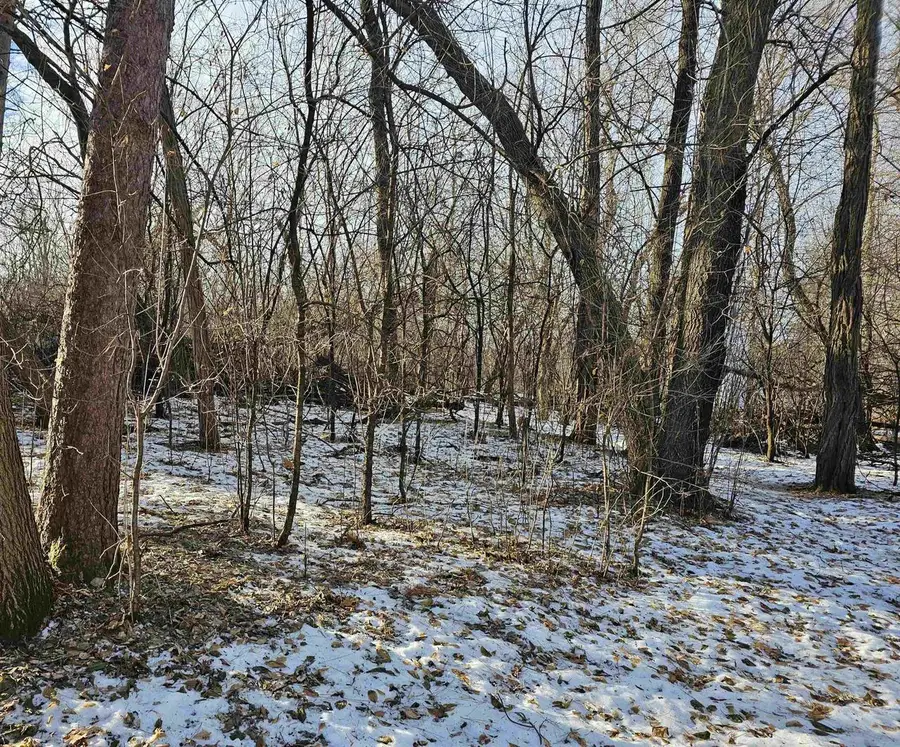 703 S WEST STREET, Weyauwega, WI 54983 - Image #3