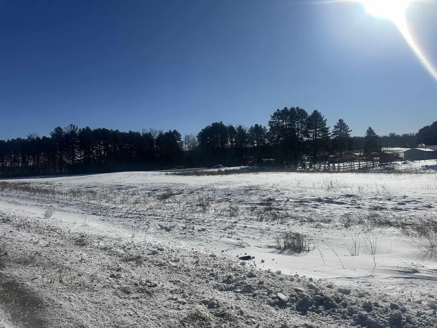 1345 US HIGHWAY 45, Marion, WI 54950 - #2