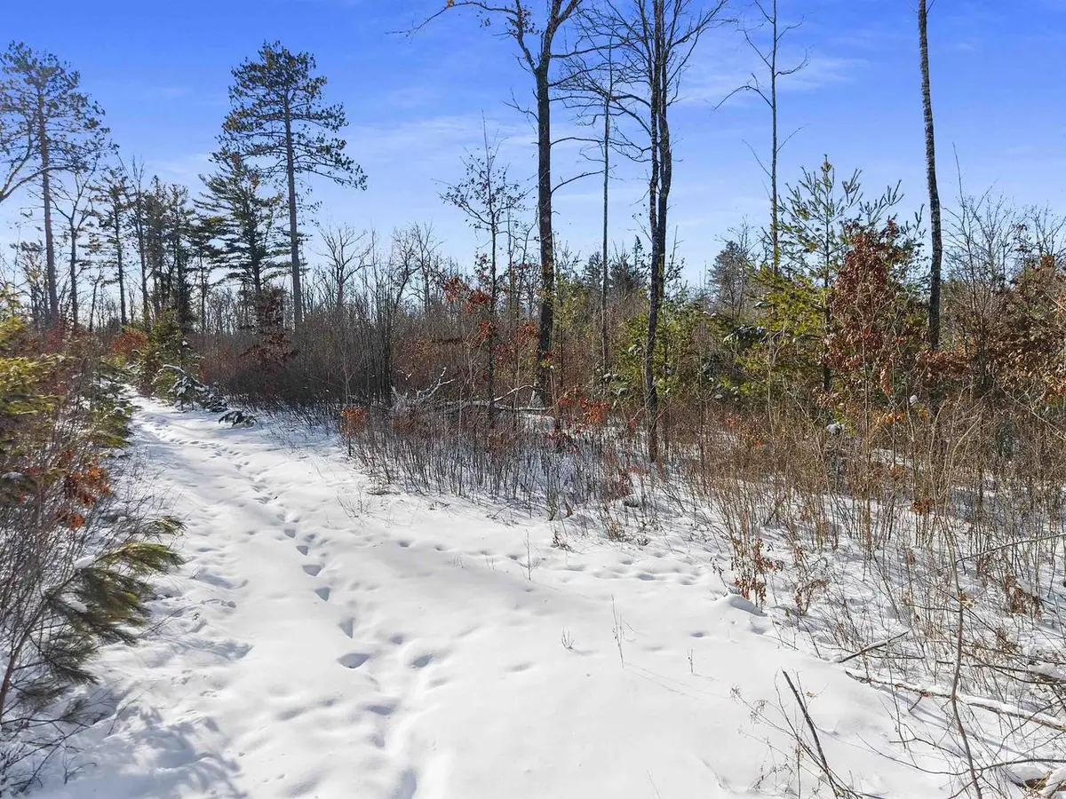 MEADOWBROOK LANE, Athelstane, WI 54104 - Image #1