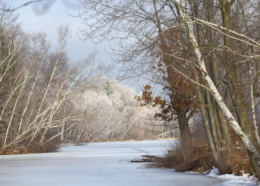 N1028 CHALET DRIVE, Waupaca, WI 54981 - #3