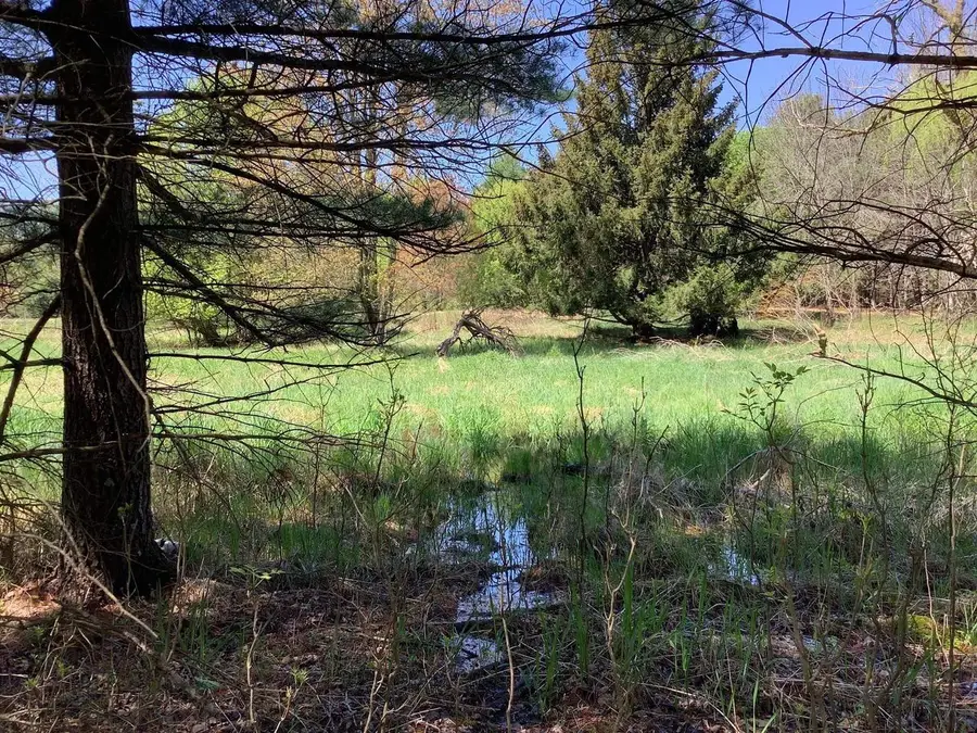 COUNTY RD AH, Fremont, WI 54940 - Image #2