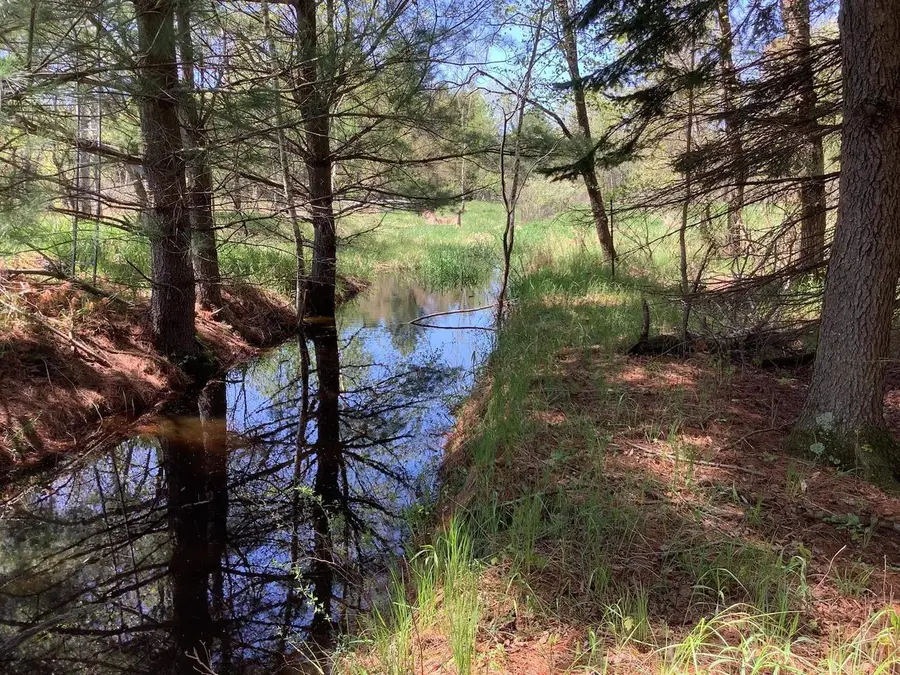 COUNTY RD AH, Fremont, WI 54940 - Image #3