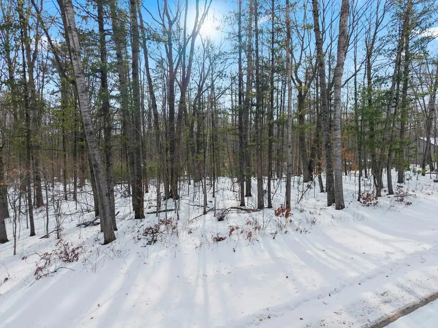 6751 OCONTO RIVER SHORES LANE, Oconto Falls, WI 54154 - #2