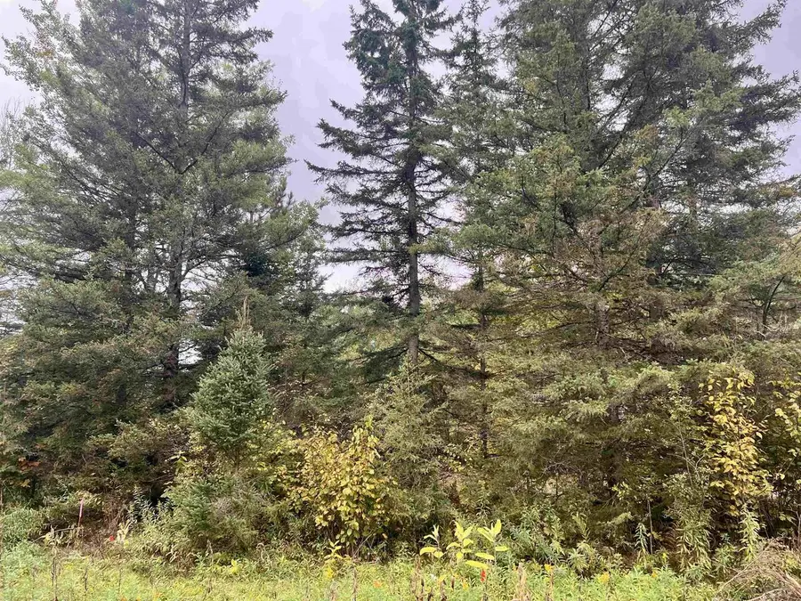 DREAM LAKE ROAD, Tipler, WI 54542 - #3