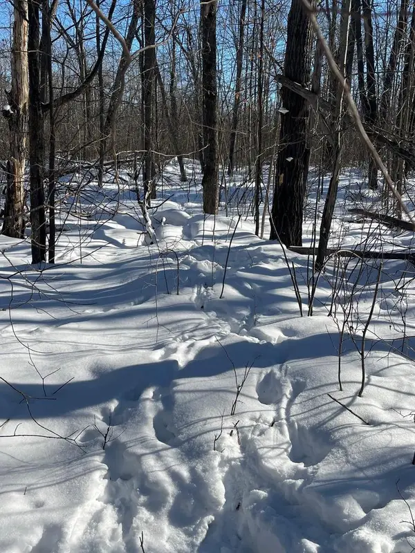 REPPERT ROAD, Exeland, WI 54835