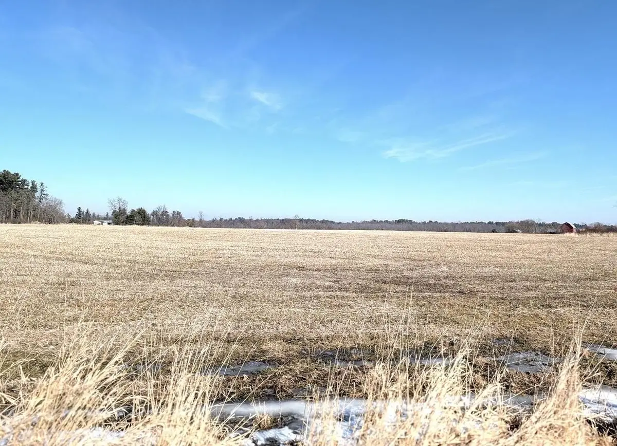 ALP DRIVE, Pine River, WI 54965 - #1