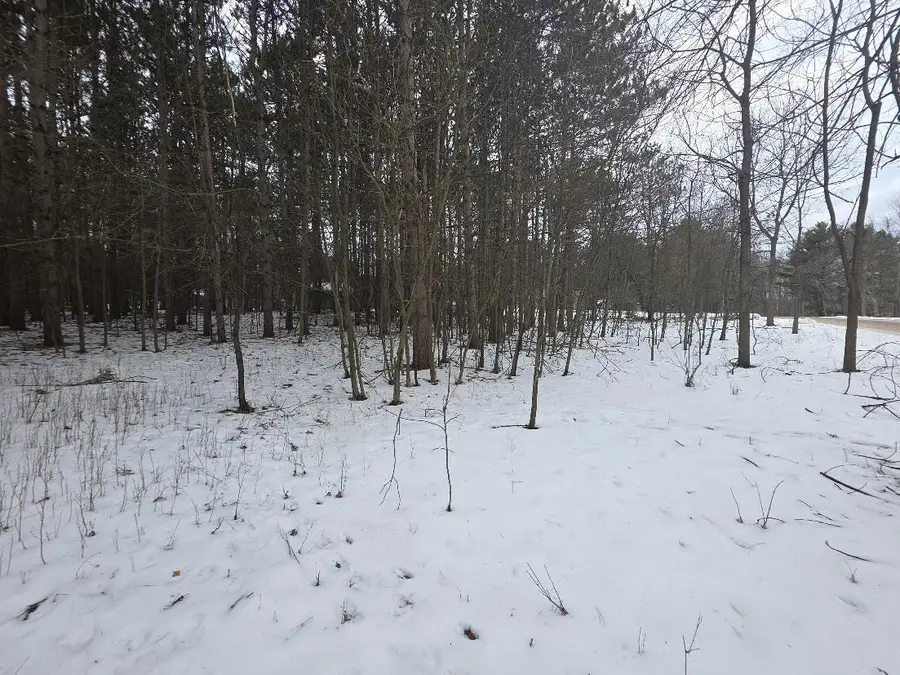 ALPINE DRIVE, Wautoma, WI 54982 - #3