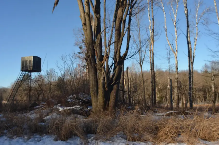 N3353 COMET ROAD, Tigerton, WI 54486 - #3