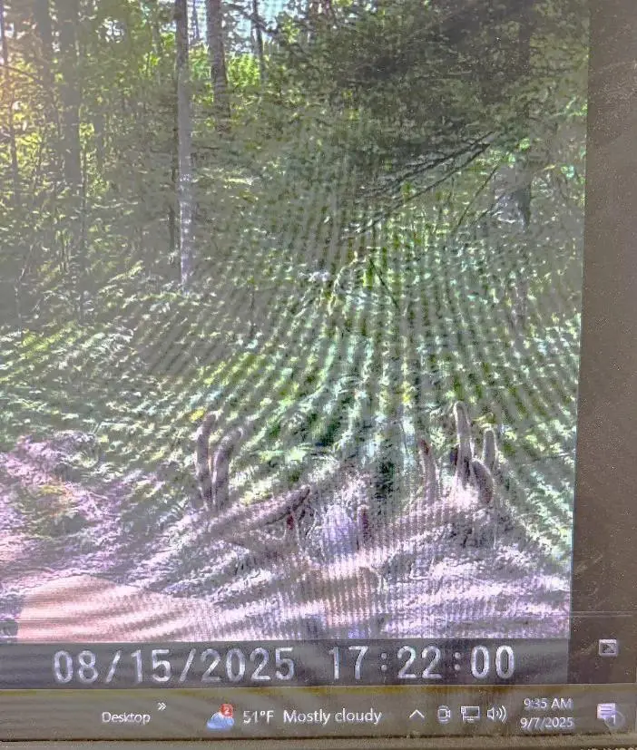 CO RD 356, Daggett, MI 49821 - #1