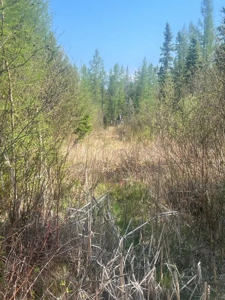 CO RD 356, Daggett, MI 49821 - #3