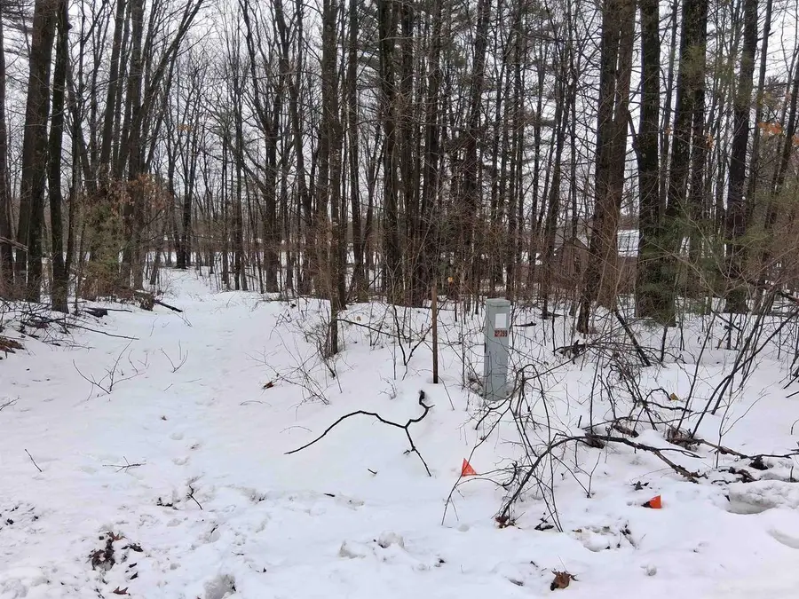 TWIN PINE LANE, Porterfield, WI 54159 - #2