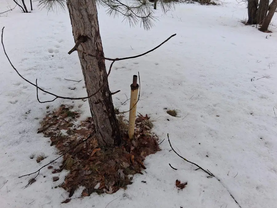 TWIN PINE LANE, Porterfield, WI 54159 - #3