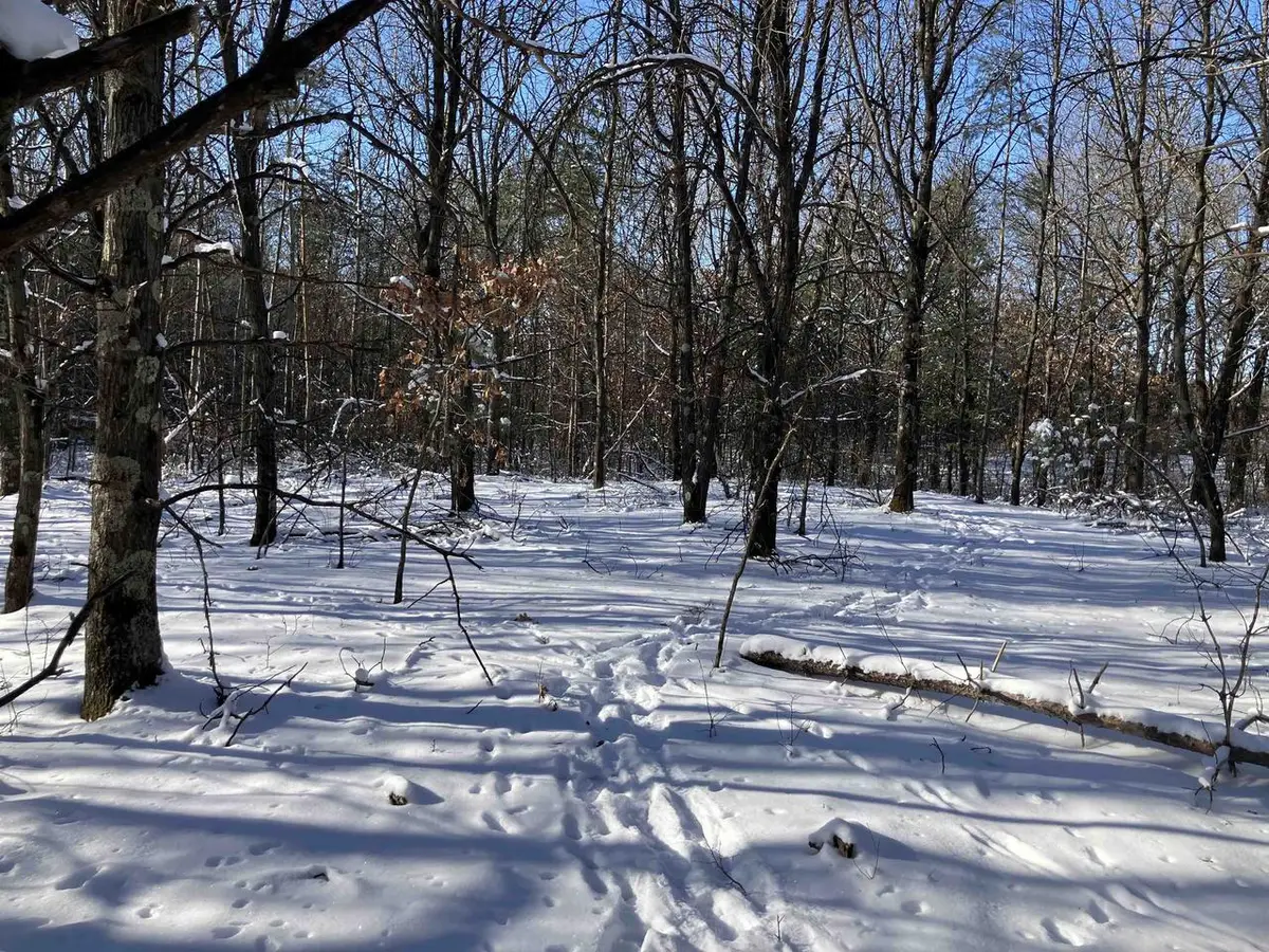 6536 AKRON AVENUE, Plainfield, WI 54966 - #1