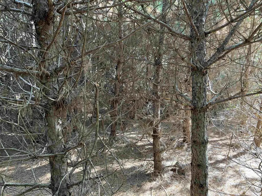 N BEACH STREET, Plainfield, WI 54966 - #2