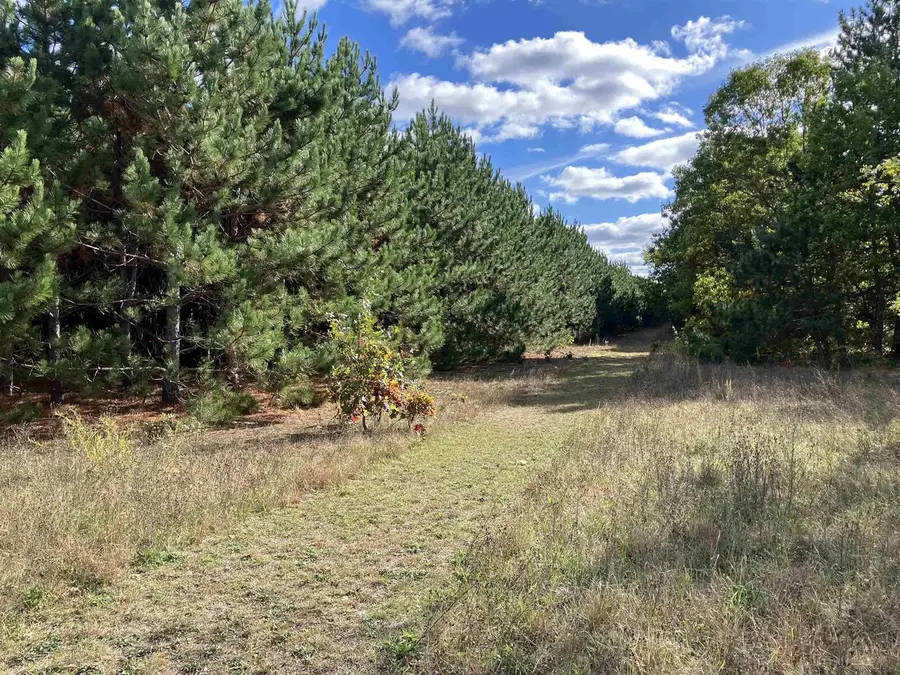 N BEACH STREET, Plainfield, WI 54966 - #3