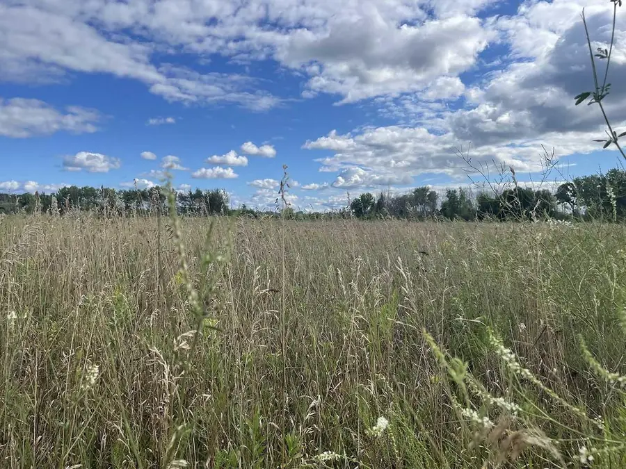 SUMMERSET CIRCLE, Sturgeon Bay, WI 54235 - #3