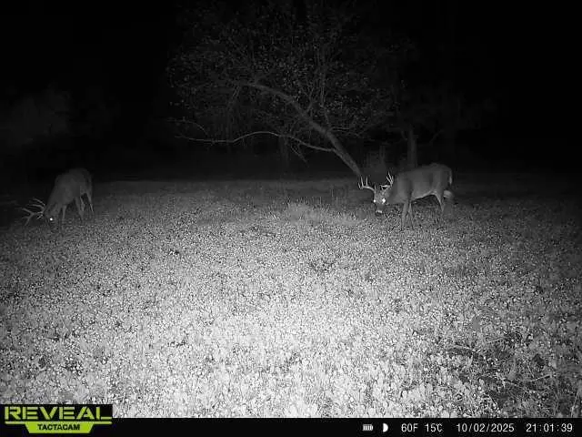 30TH ROAD, Pine River, WI 54965 - #3