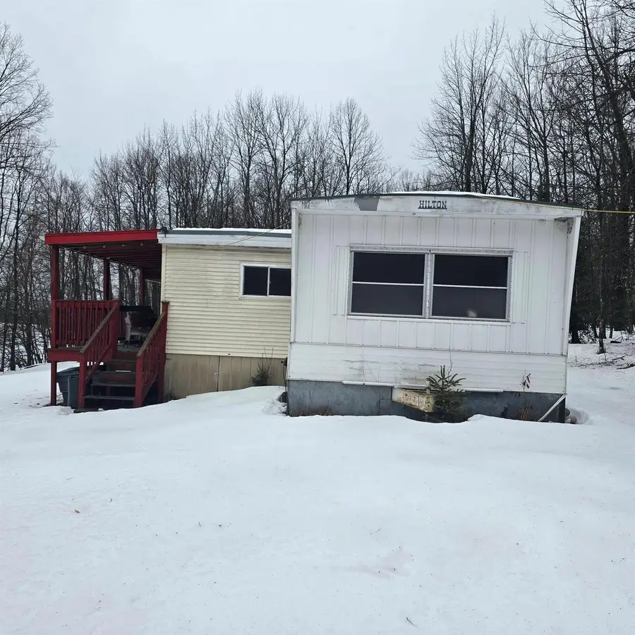 WESTMAN DAM ROAD, Cedar River, MI 49887 - #2