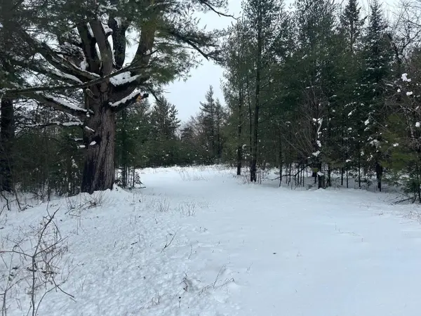 606 E BROOK STREET, Suring, WI 54174