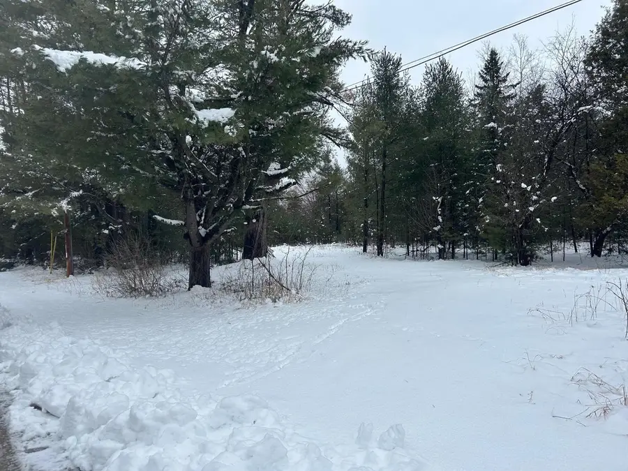 606 E BROOK STREET, Suring, WI 54174 - #2