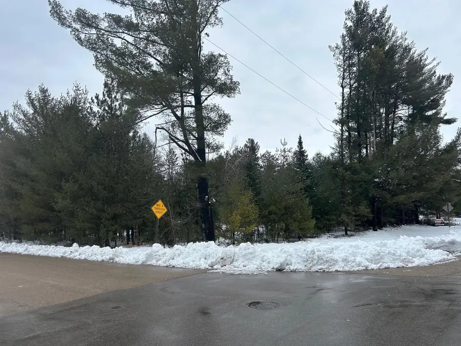 606 E BROOK STREET, Suring, WI 54174 - #3