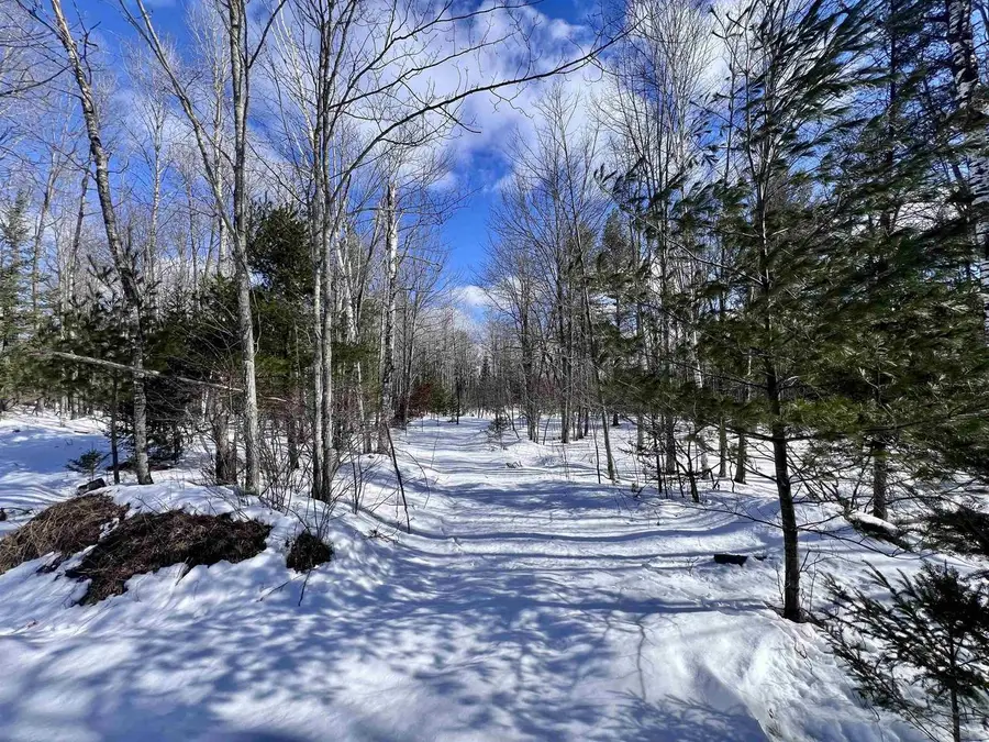 NEJEDLO ROAD, Wausaukee, WI 54177 - #3