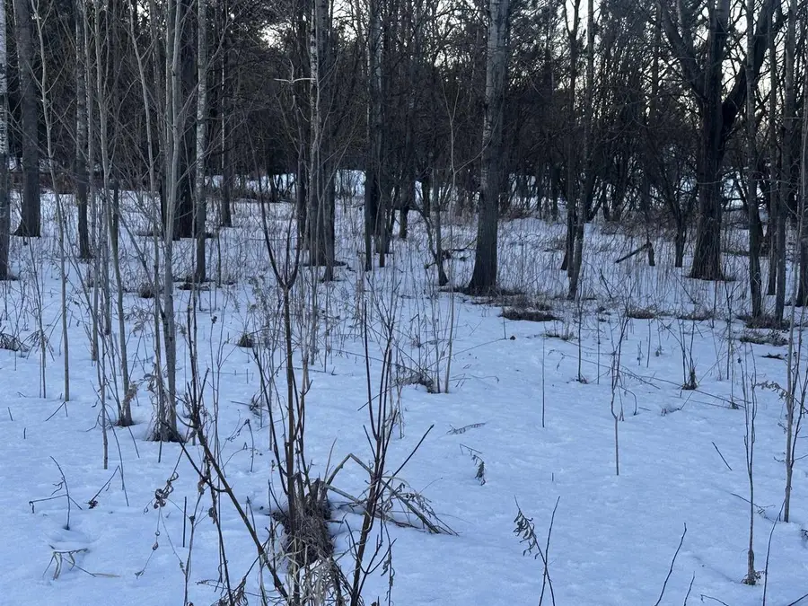 4424 N CREEK LANE, Lena, WI 54139 - #3