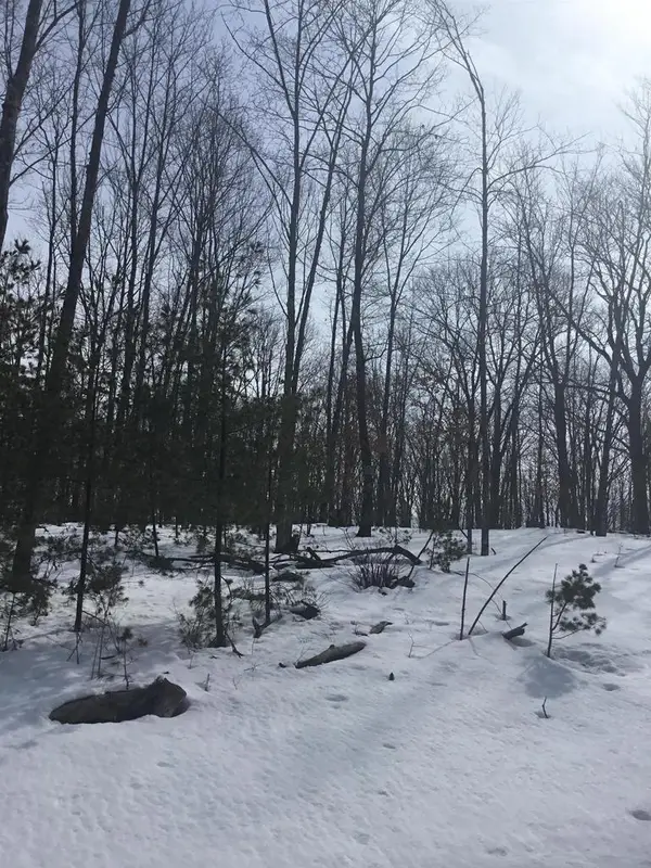 N11266 RHETT LANE, Wausaukee, WI 54177