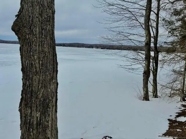 W6104 E WALLEYE LANE, Pearson, WI 54462 - #3