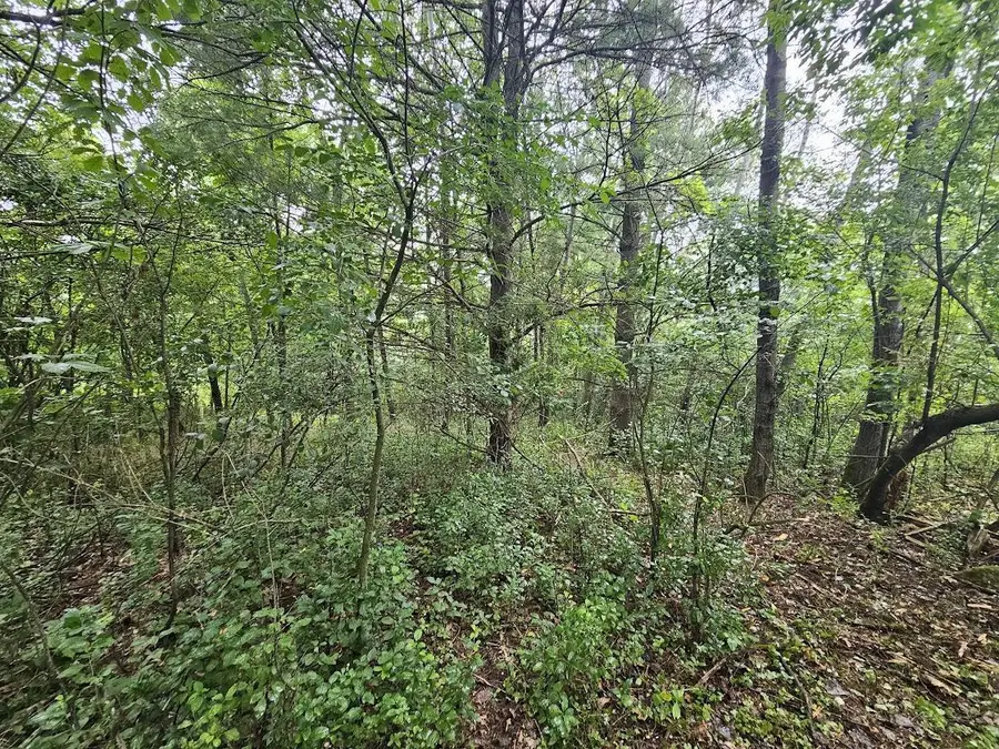 HIGH ROAD, Wild Rose, WI 54984 - #2