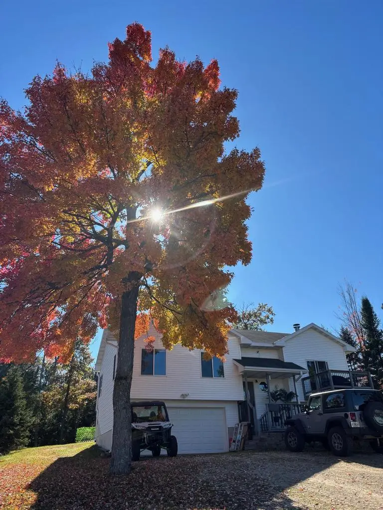 W11443 1ST STREET, Crivitz, WI 54114 - #1