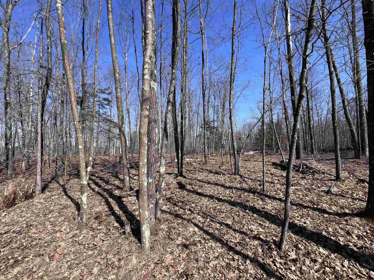 RHETT LANE, Wausaukee, WI 54177 - #1