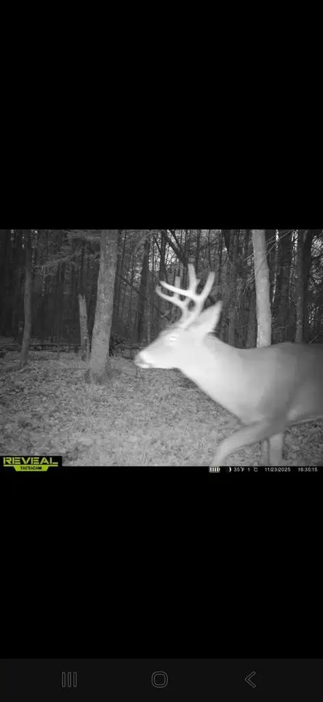 ADERMAN LANE, Daggett, MI 49821 - #3