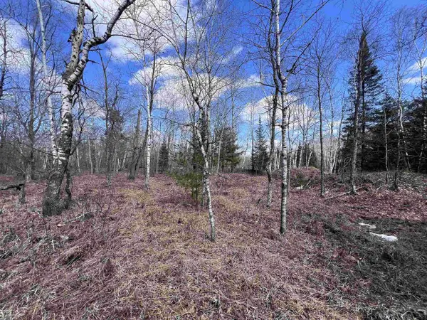 NEJEDLO ROAD, Wausaukee, WI 54177