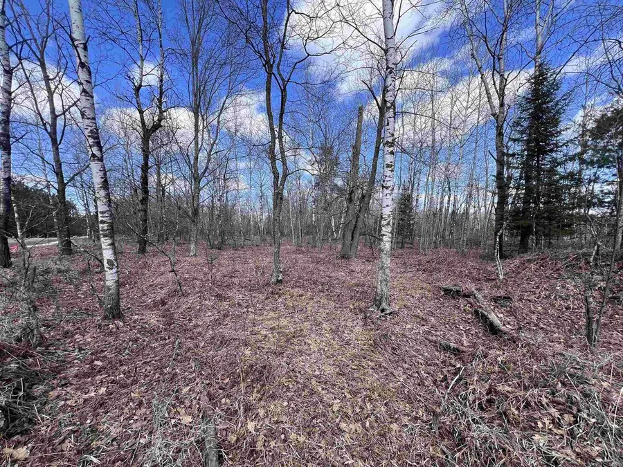 NEJEDLO ROAD, Wausaukee, WI 54177 - #2