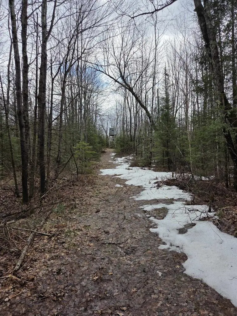 COUNTY ROAD K, Amberg, WI 54102 - #2