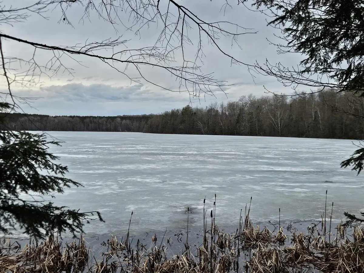 PORCUPINE LAKE ROAD, Florence, WI 54121 - #1