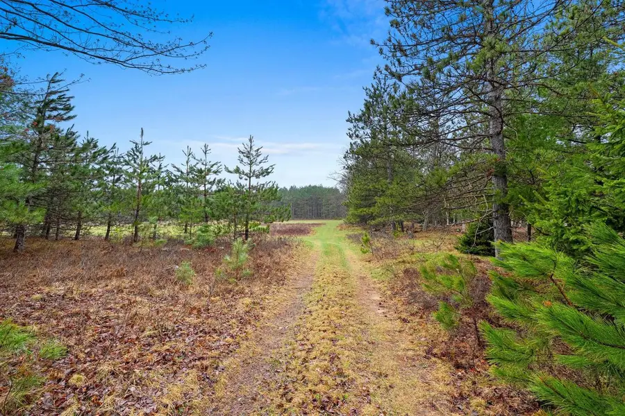 RUSS MAINIK ROAD, Wausaukee, WI 54177 - #2