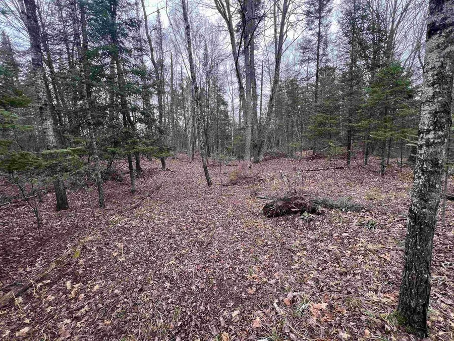 NEJEDLO ROAD, Wausaukee, WI 54177 - #3
