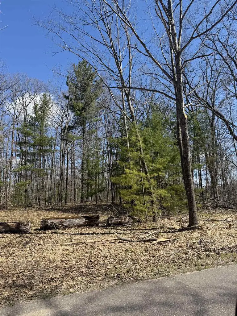 ARCHIBALD LAKE ROAD, Townsend, WI 54175 - #1