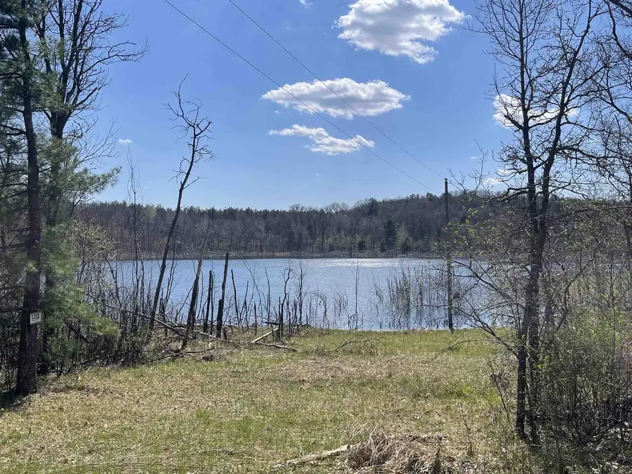 N6855 S LAKE DRIVE, Wild Rose, WI 54984 - #3