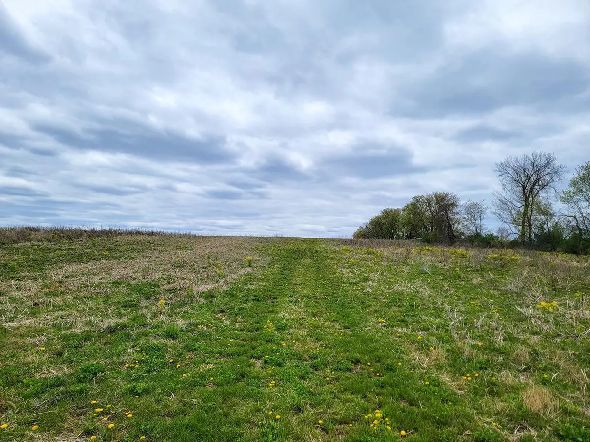 N5495 COUNTY RD B, Manawa, WI 54949 - #1