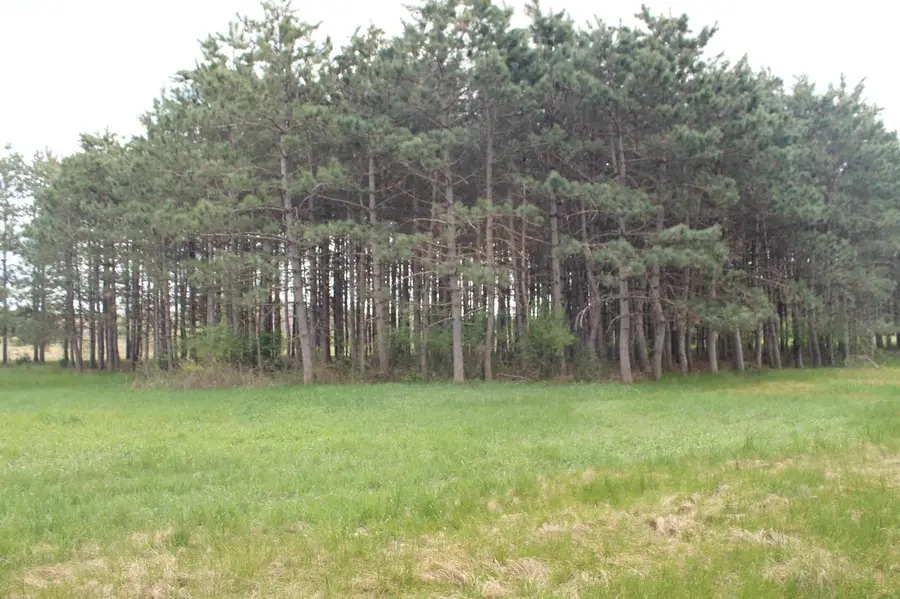 8TH ROAD, Westfield, WI 53964 - #3