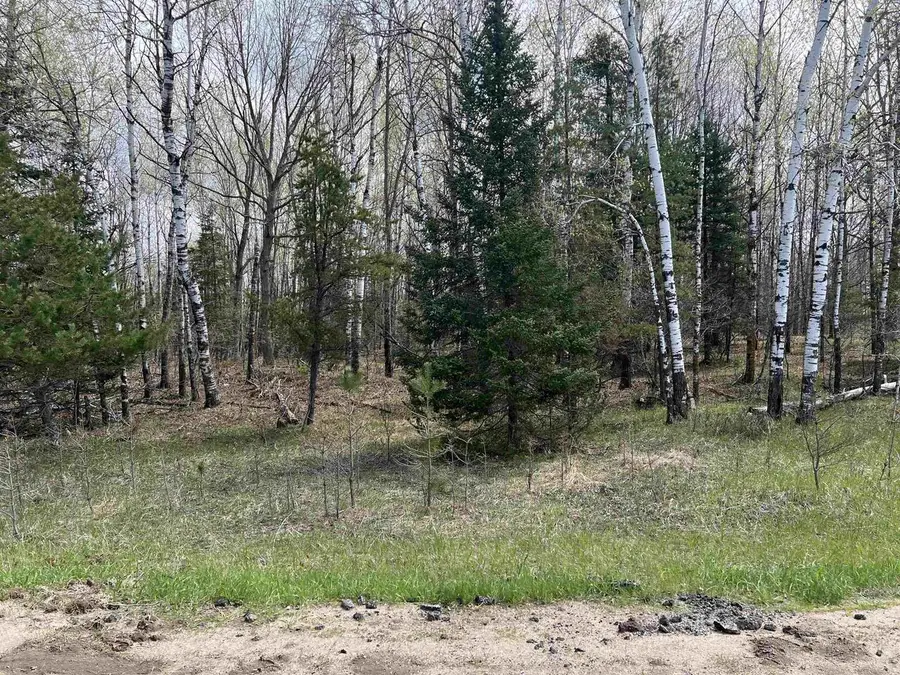 NEJEDLO ROAD, Wausaukee, WI 54177 - #2