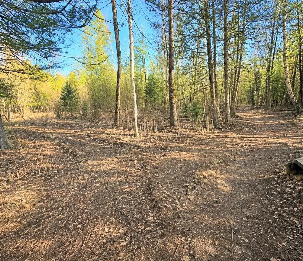 12.5 ROAD, Wallace, MI 49893 - #1