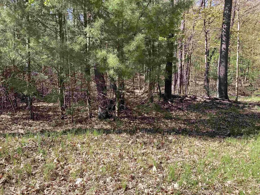 W3006 RIDGE ROAD, Pine River, WI 54965 - #3