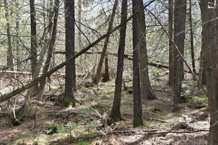 PRATT JUNCTION ROAD, Pelican Lake, WI 54463 - #3